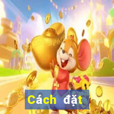 Cách đặt cược XSTTH ngày 24