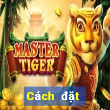 Cách đặt cược XSBTR Thứ 5