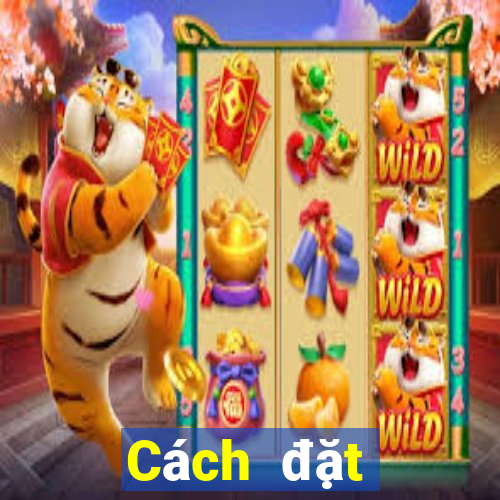 Cách đặt cược XSCM ngày 30