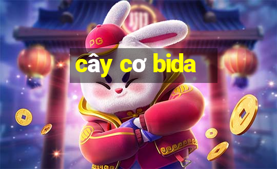 cây cơ bida