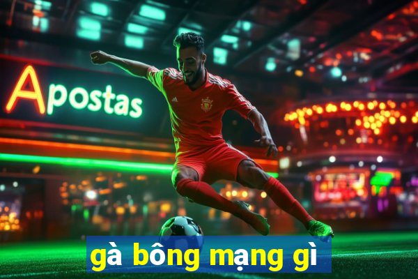 gà bông mạng gì