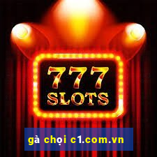 gà chọi c1.com.vn