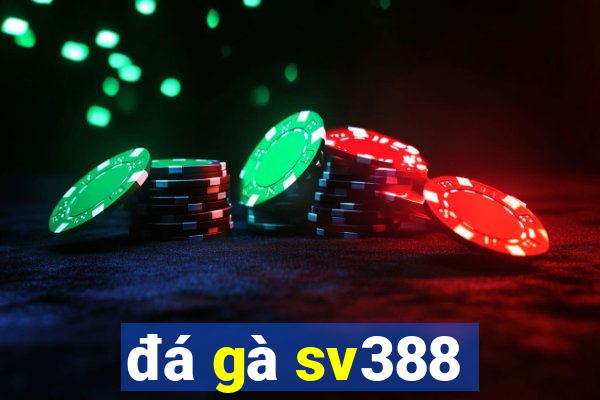 đá gà sv388