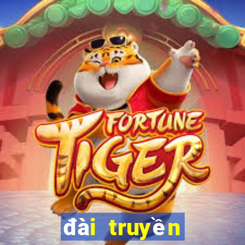 đài truyền hình vtv