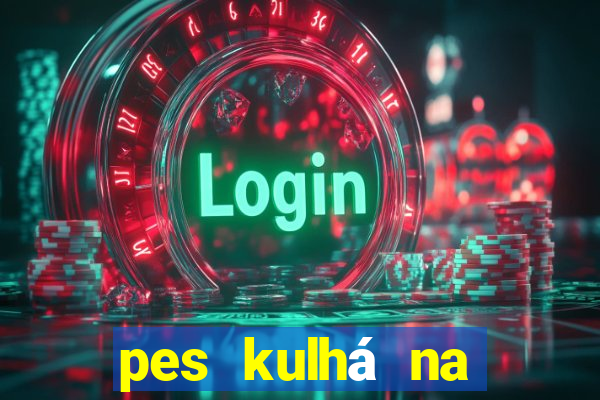 pes kulhá na přední nohu