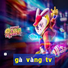 gà vàng tv trực tiếp bóng đá hôm nay