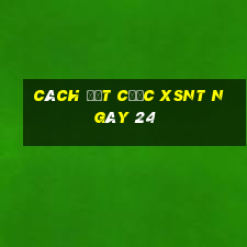 Cách đặt cược XSNT ngày 24