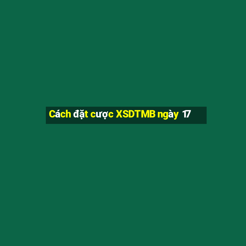 Cách đặt cược XSDTMB ngày 17