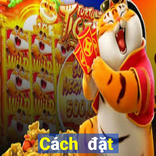 Cách đặt cược XSAG ngày 8