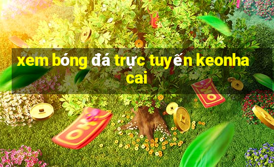 xem bóng đá trực tuyến keonhacai