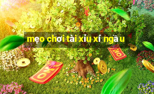 mẹo chơi tài xỉu xí ngầu