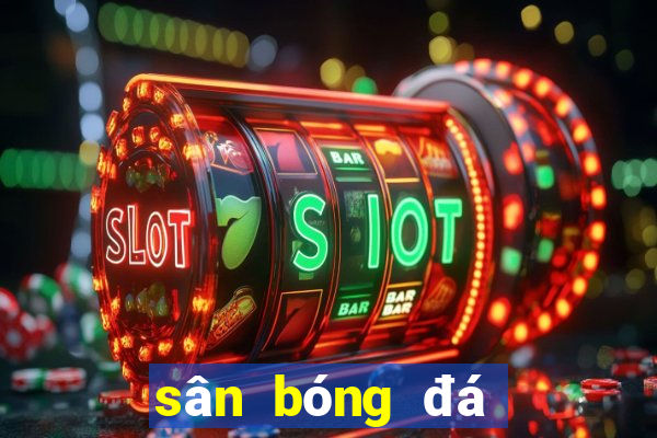 sân bóng đá tiểu ngư