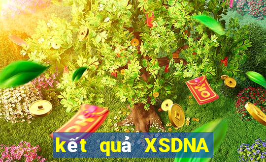 kết quả XSDNA ngày 1