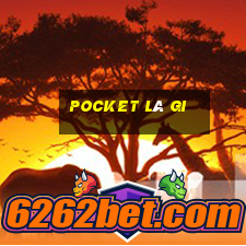 pocket là gi