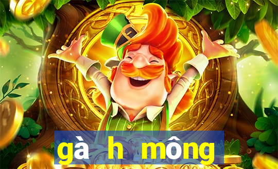 gà h mông thuần chủng