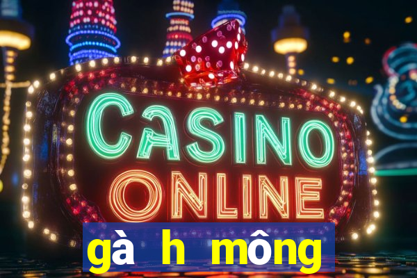 gà h mông thuần chủng