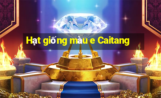 Hạt giống màu e Caitang