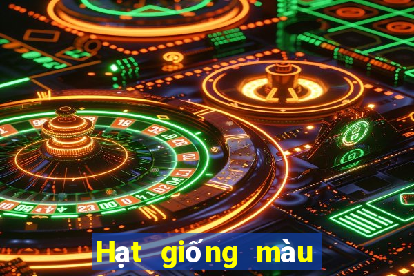 Hạt giống màu e Caitang