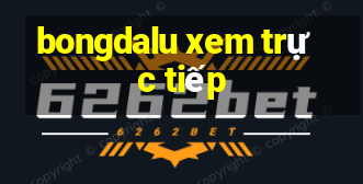 bongdalu xem trực tiếp