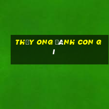 thấy ong đánh con gì