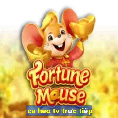 ca heo tv trực tiếp