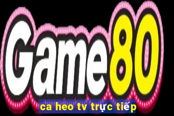 ca heo tv trực tiếp