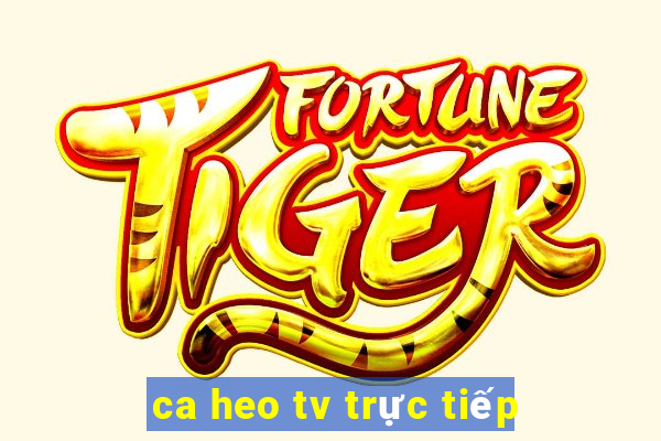 ca heo tv trực tiếp