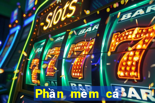 Phần mềm cá cược bóng rổ