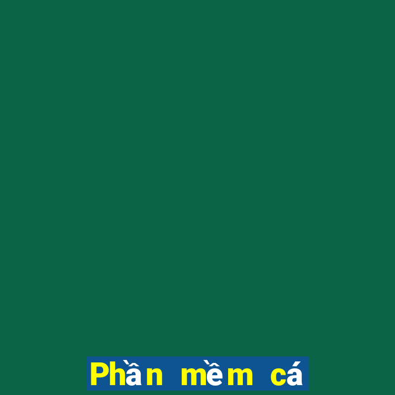 Phần mềm cá cược bóng rổ