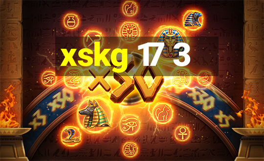 xskg 17 3