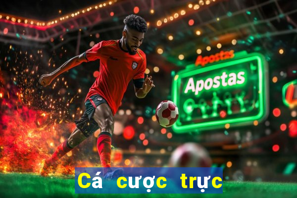 Cá cược trực tuyến V6bet