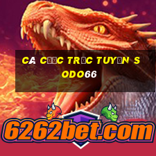 Cá cược trực tuyến sodo66