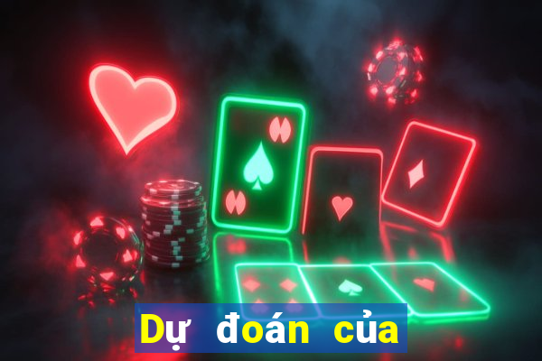 Dự đoán của chuyên gia bóng đá