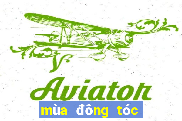 mùa đông tóc nhanh bết