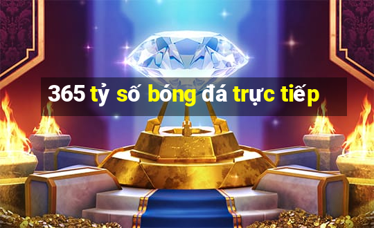 365 tỷ số bóng đá trực tiếp