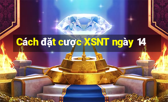 Cách đặt cược XSNT ngày 14