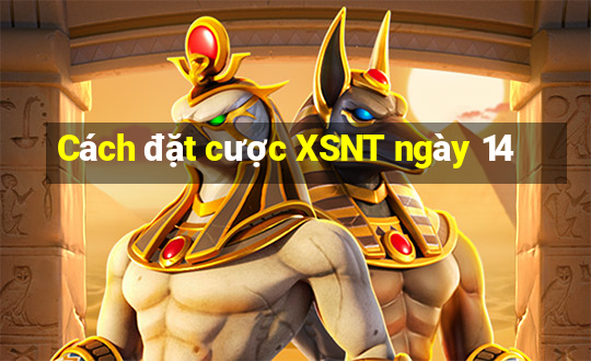 Cách đặt cược XSNT ngày 14