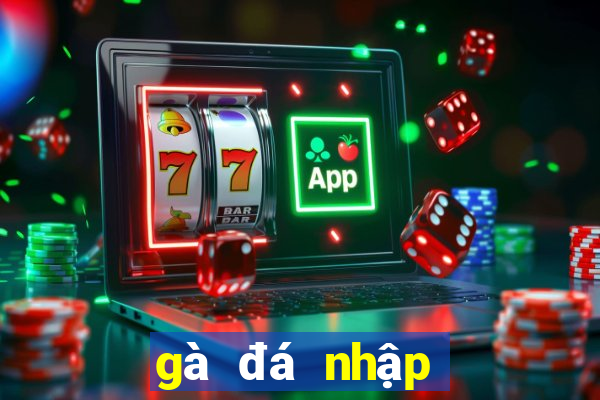 gà đá nhập khẩu từ mỹ