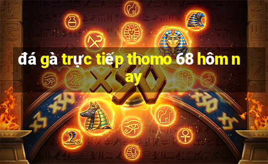 đá gà trực tiếp thomo 68 hôm nay