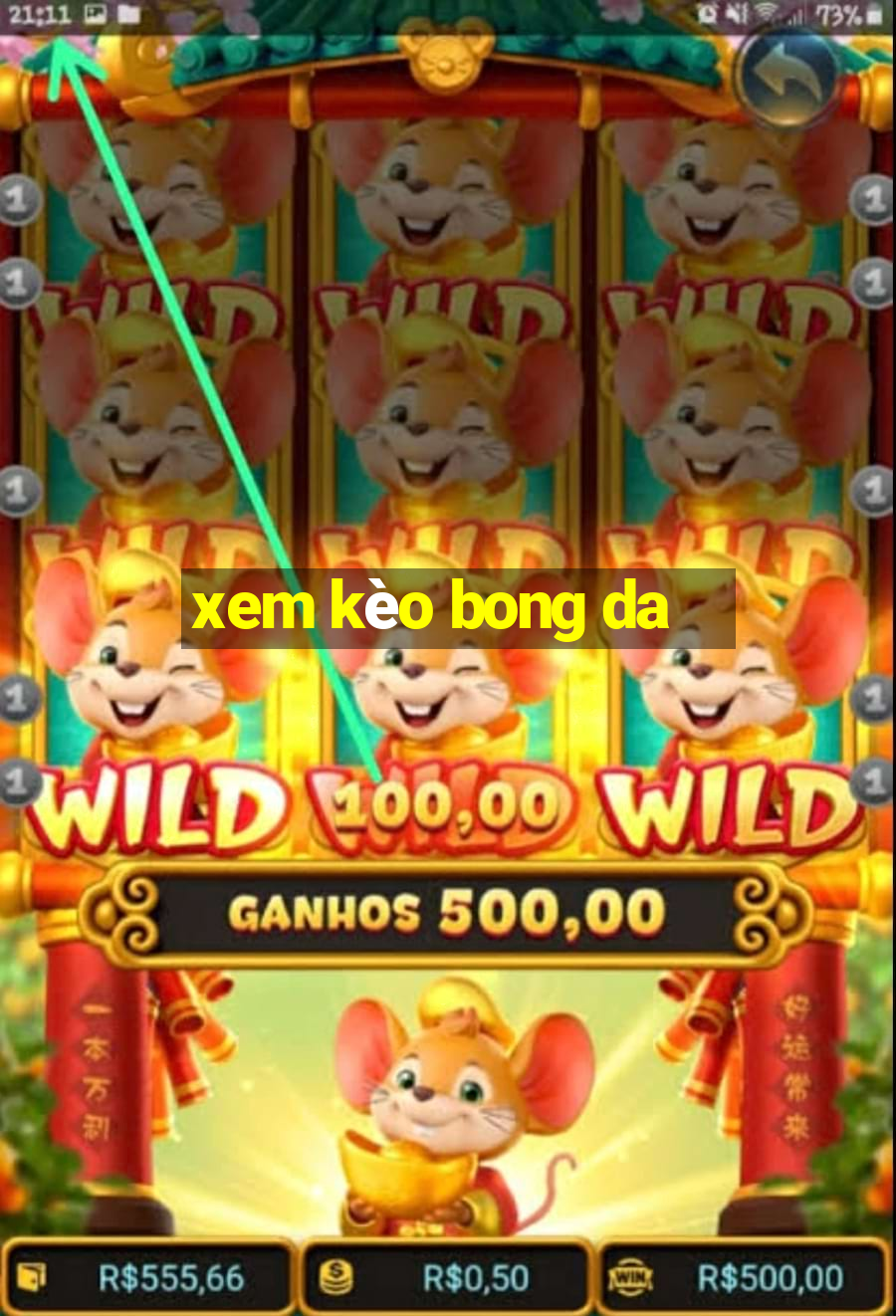 xem kèo bong da