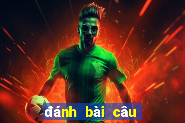 đánh bài câu cá 2 người