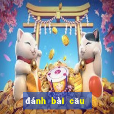 đánh bài câu cá 2 người