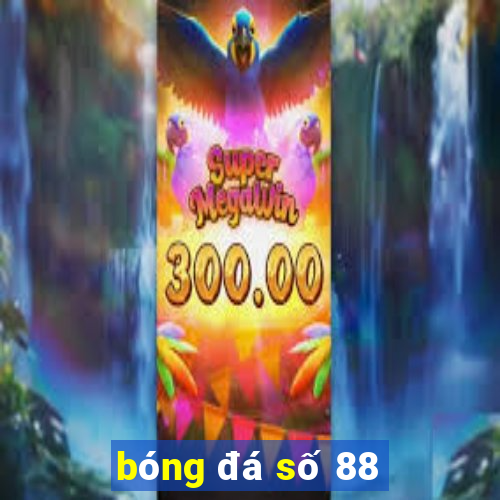 bóng đá số 88