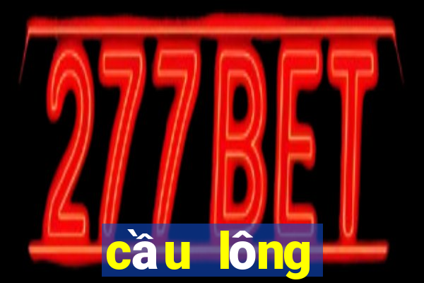 cầu lông người que