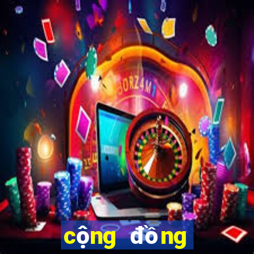 cộng đồng bầu app