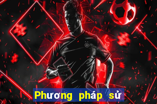 Phương pháp sử dụng Betou Bao