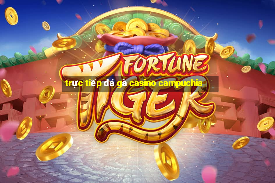 trực tiếp đá gà casino campuchia