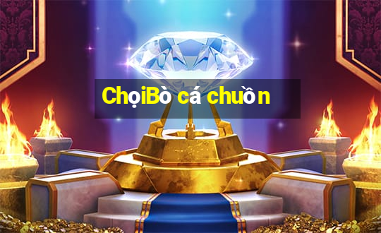 ChọiBò cá chuồn