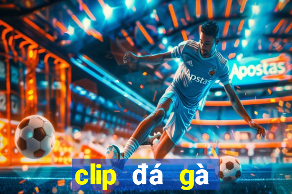 clip đá gà thomo hôm nay