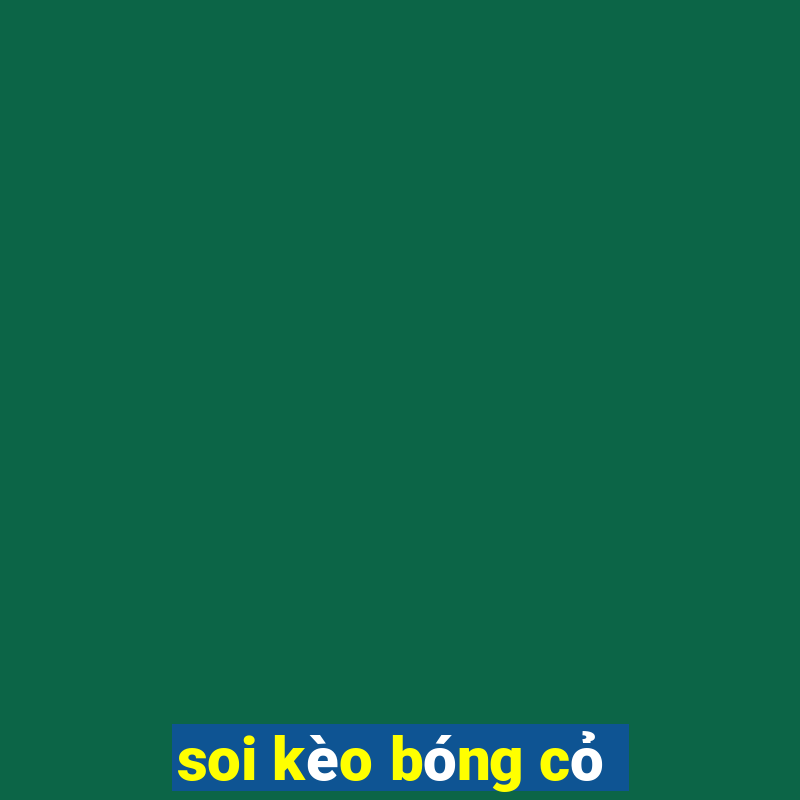 soi kèo bóng cỏ